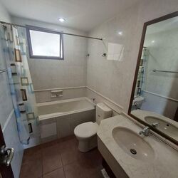 Twin Heights (D12), Apartment #576084051